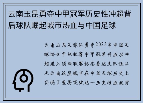 云南玉昆勇夺中甲冠军历史性冲超背后球队崛起城市热血与中国足球 云南玉昆勇夺中甲冠军历史性冲超背后球队崛起城市热血与中国足球