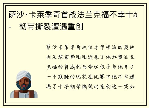 萨沙·卡莱季奇首战法兰克福不幸十字韧带撕裂遭遇重创 萨沙·卡莱季奇首战法兰克福不幸十字韧带撕裂遭遇重创